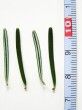 Abies alba (white fir) - the underside and top of the leaves (needles)